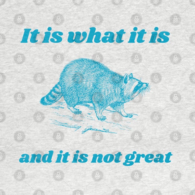 It Is What It Is And It Is Not Great Funny Raccoon by KC Crafts & Creations